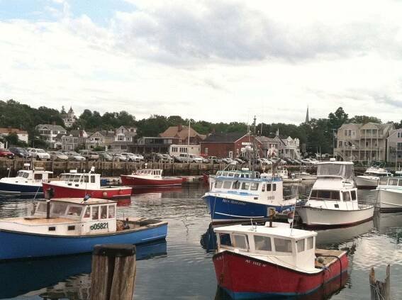 5 Things to See & Do In Gloucester, Massachusetts - Wolfe Adventures and Tours