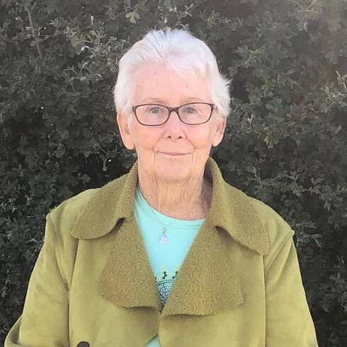 Clackmannanshire and Stirling HSCP – Board Members