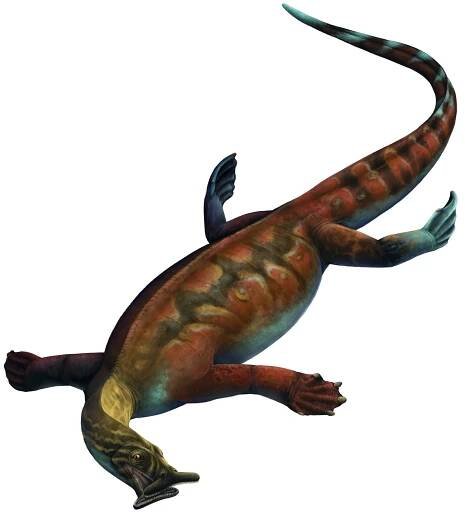 @palaeontology-hub on Tumblr