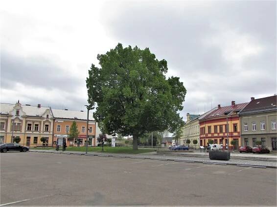 Fotogalerie • Busta T. G. Masaryka (Pomník, památník) • Mapy.com