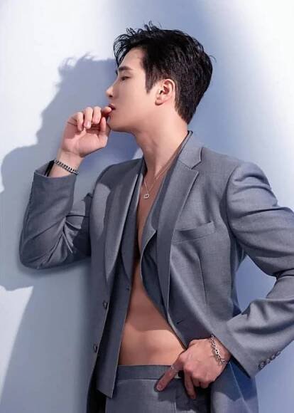 Ahn Bo Hyun - Biography, Profile, Facts, and Career