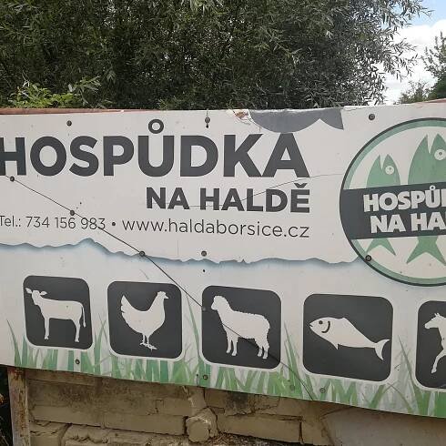 HOSPUDKA NA HALDE - Prices & Guest house Reviews (Borsice, Czech Republic)