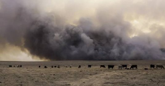 Texas v plamenech. Stát postihl zřejmě největší požár v jeho dějinách - Echo24.cz