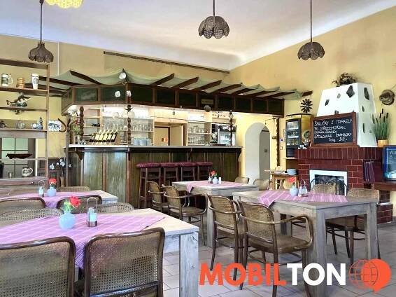 Rybářská restaurace a penzion U Horáků - Nová Dědina