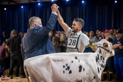 Agroleite Holstein Show 2023 :: The Bullvine - The Dairy Information You Want To Know When You Need It