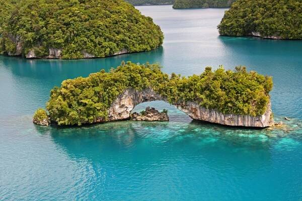Book Palau Adventure | Sam's Tours Palau