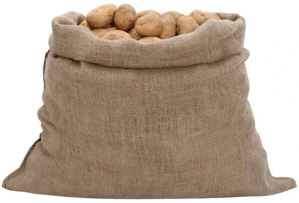 vidaXL Jutové pytle 10 ks 100x110 cm 100% juta 220 g/m2