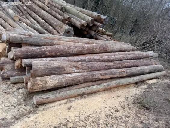 Prodej štípané palivové dřevo