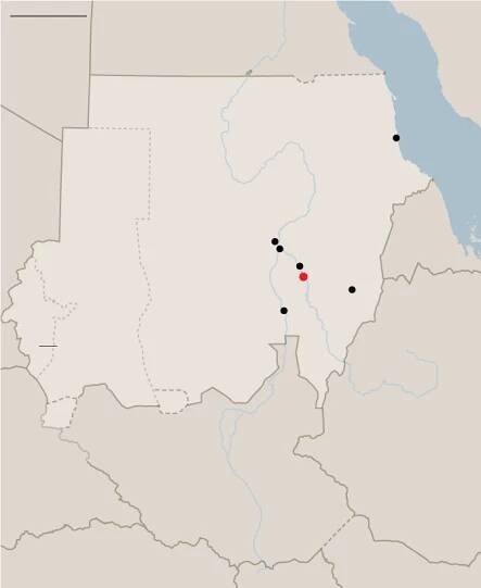 Sudan’s Army Faces Scrutiny After Major City Falls to Rival Forces - The New York Times