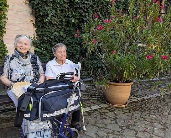 Sokolnické ukázky na státním zámku Sychrov | Alzheimer Home