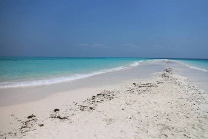 Dovolená na Zanzibaru - co vědět před cestou - Vše kolem cestování