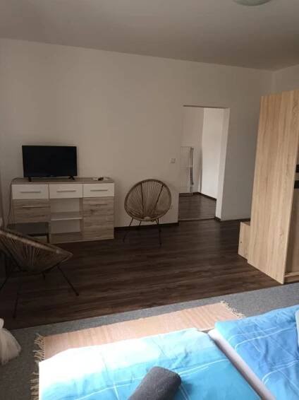 TV a/nebo společenská místnost v ubytování Vila Pavlínka apartmány Losiny