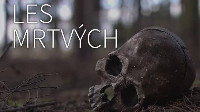 LES MRTVÝCH - temné tajemství v lese Polom u Litomyšle