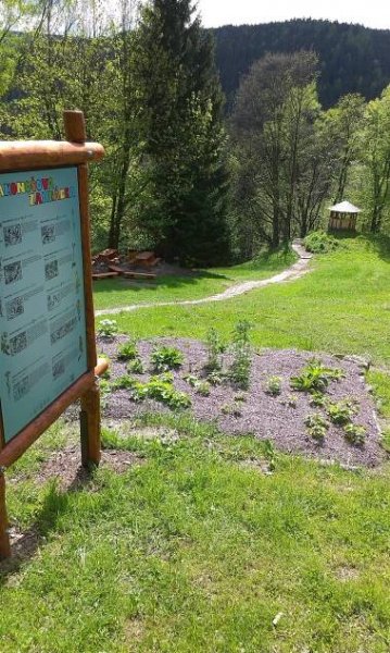 Pronájem chaty a chalupy Krkonoše - Chalupa U Hančilů