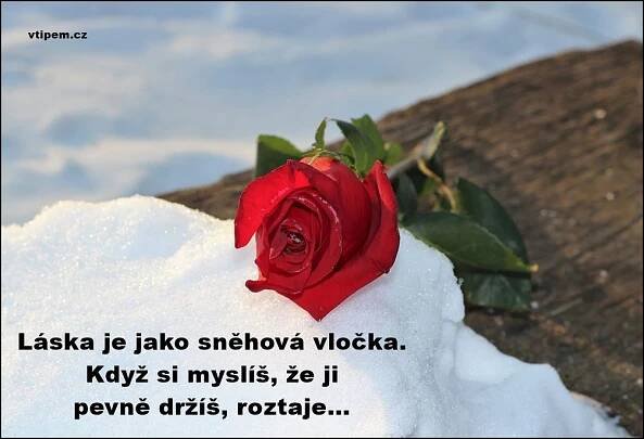Nej romantické vyznání lásky, zamilované obrázky v roce 2025