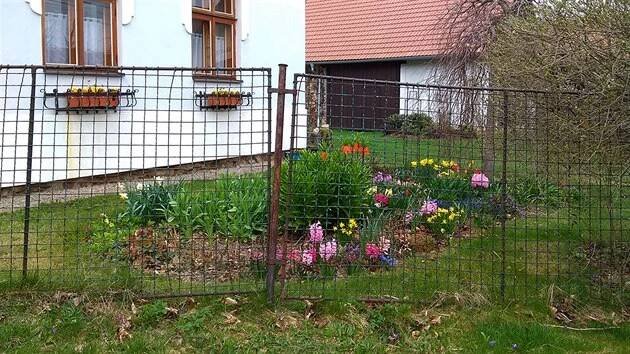 Na poslední etapu – obnovu plotu směrem k návsi, chybí energie i peníze. 