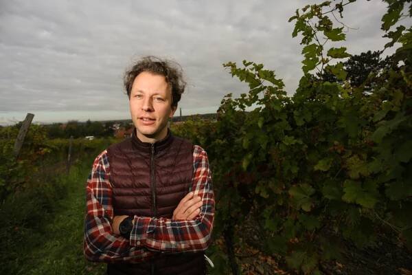 PODÍVEJTE SE: Vinobraní u Bettiny Lobkowicz na Mělníku je v plném proudu