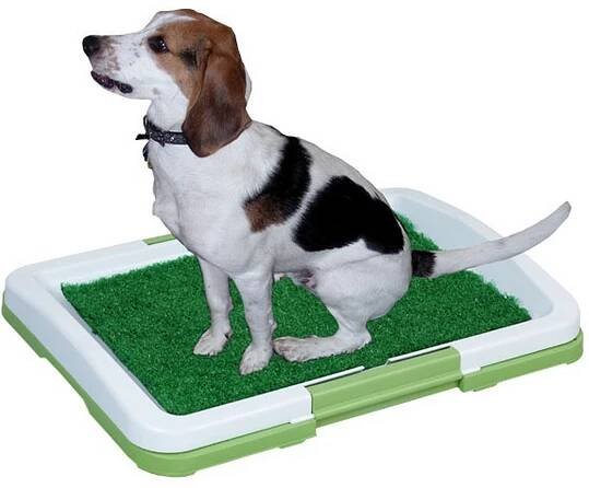 Potty Pad Toaleta pro psy 47 x 34 x 5,5 cm