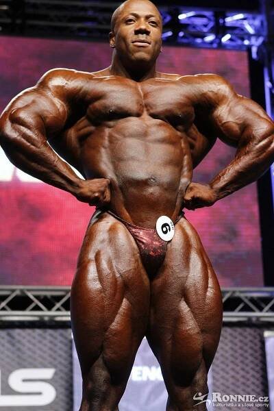 Ronnie.cz - fotogalerie