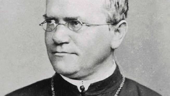 Málokdo ovlivnil současnou vědu více než Gregor Johann Mendel. Moravský přírodovědec německého původu zkoumal v polovině devatenáctého století na Starém Brně křížením hrachu základy dědičnosti. Výsledky jeho bádání položily základy genetiky, bez nichž by 