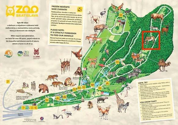 Zoologická záhrada ZOO Bratislava | SDEŤMI.com