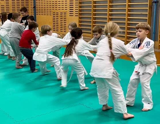 Judo Best Motion foto 3