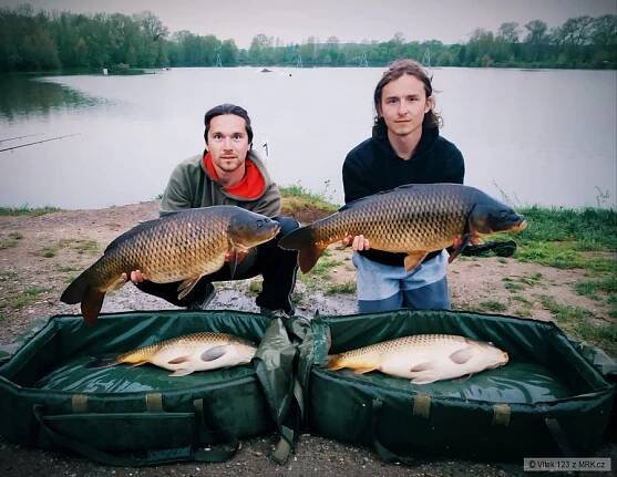 Ginto Carp Cup 2020