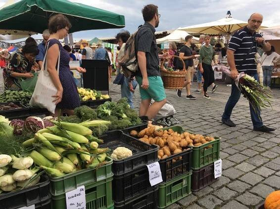 17. 8. – NÁPLAVKA- LETNÍ JABLKA, HRUŠKY, ŠVESTKY, ZAČÁTEK CHILLI SEZÓNY, DIVOKÁ RAJČÁTKA