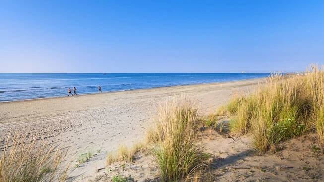 Strand