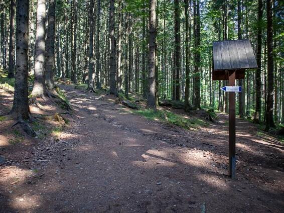 Rolandův kámen – skalní vyhlídka nad Karlovou Studánkou | PrimaVylety.cz