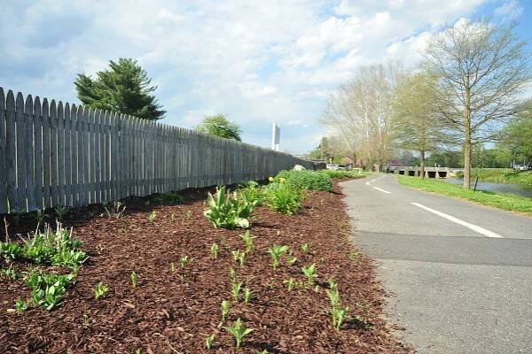 Hawksbill Greenway