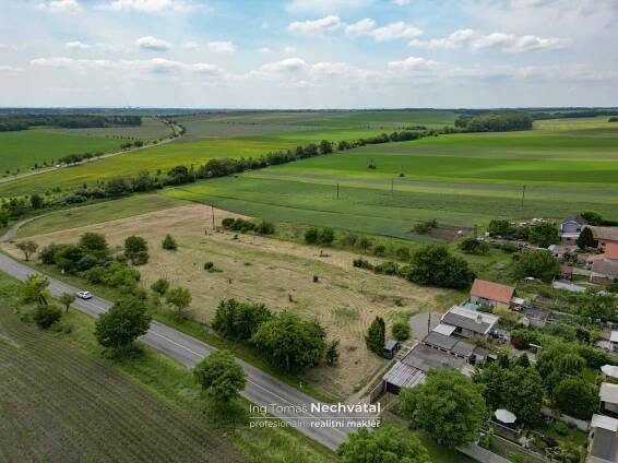 Prodej Pozemek, Hrušovanská, Drnholec, okres Břeclav