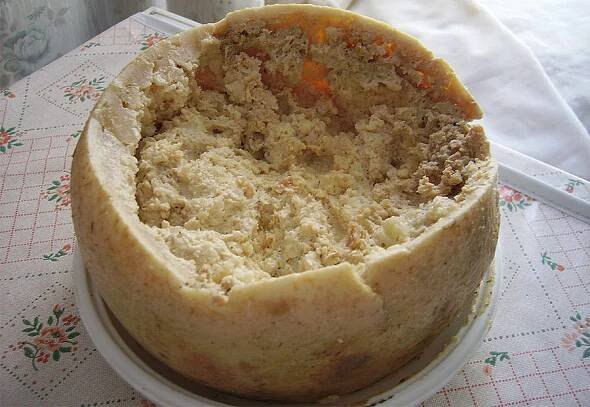 Sýr s živými larvami. Italská pochoutka, ze které se mnohým dělá nevolno