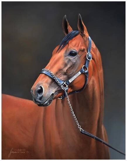 Baxter American Pharoah sml.jpg