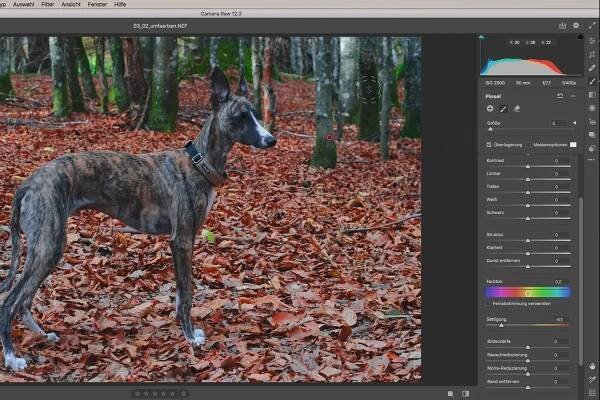 Změna barev s Adobe Camera Raw – Tak to funguje!