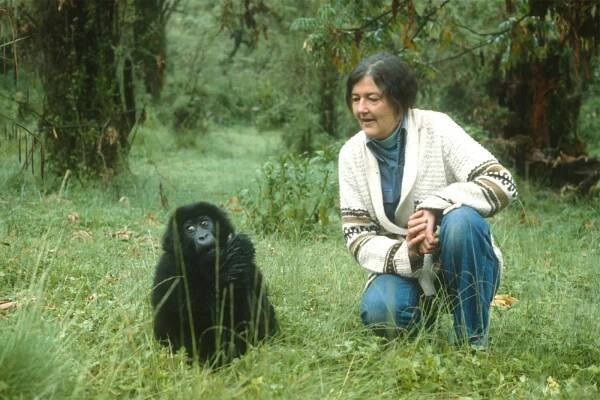 Dian Fossey.