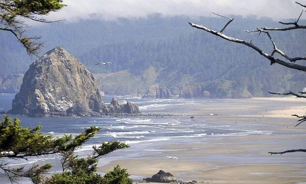 Friends of Haystack Rock Awarded The 2023 O'Brien Prize For Refuge Friends