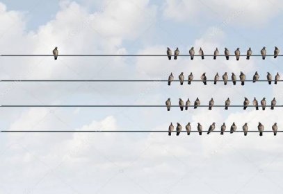 Stáhnout - Individualita symbol a nezávislý myslitel koncept a nová koncepce vedení nebo individualitu jako skupina holub ptáci na drátě s jednou individuální pták v opačném směru jako obchodní ikony pro nové inovativní myšlení. — Stock obrázek