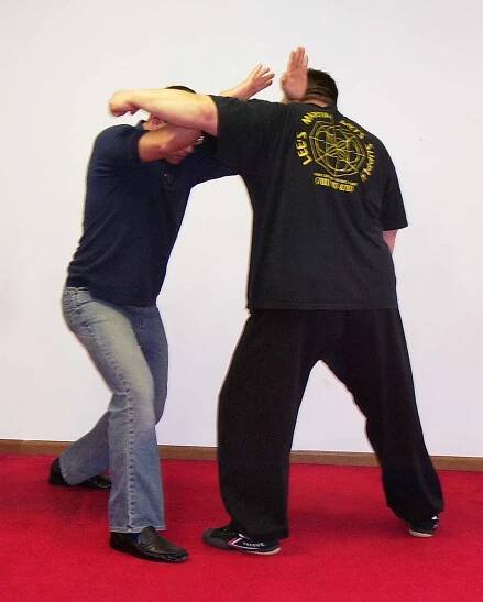Wing Chun Ving Tsun Training for Self Defense