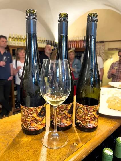 Fotogalerie 2018-2023 – Vinotéka IN VINO