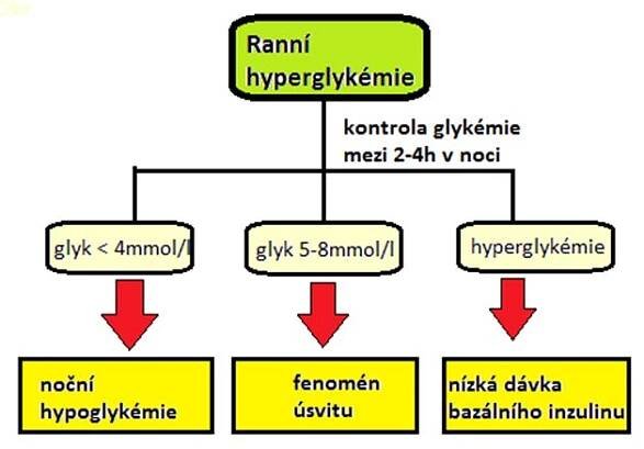 Ranní hyperglykémie | cukrovka