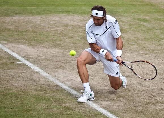 David Ferrer – Wikipedia