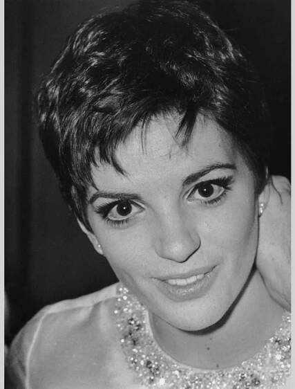 LIZA MINNELLI - alberto damian | gallery