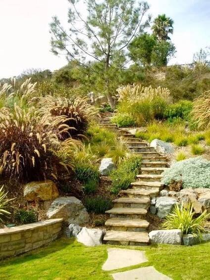 a garden with steps leading up to the grass