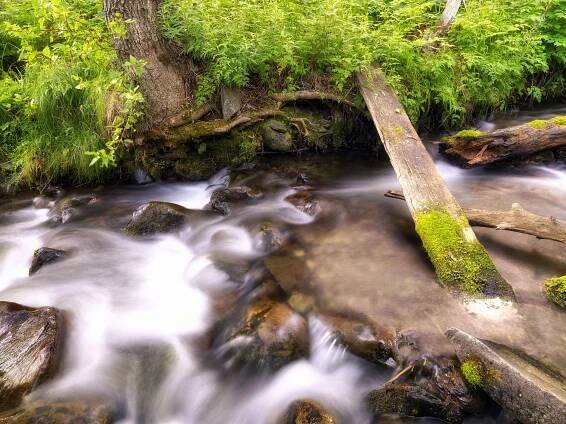 Kevin Briggs Photography
