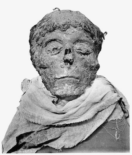 File:Ahmose-mummy-head.png - Wikimedia Commons