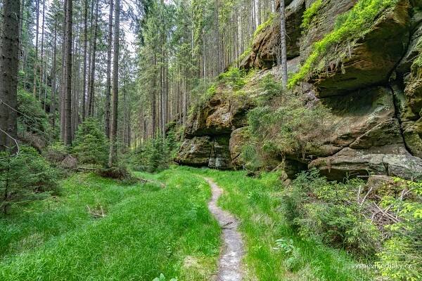 České Švýcarsko – 3. den: Z Dlouhého Dolu do Jetřichovic (26.5.2019) – Vyšné Vlkodlaky