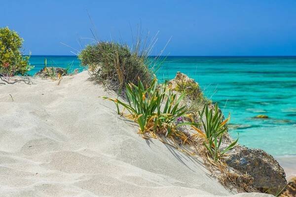 Elafonissi Beach Chania Crete