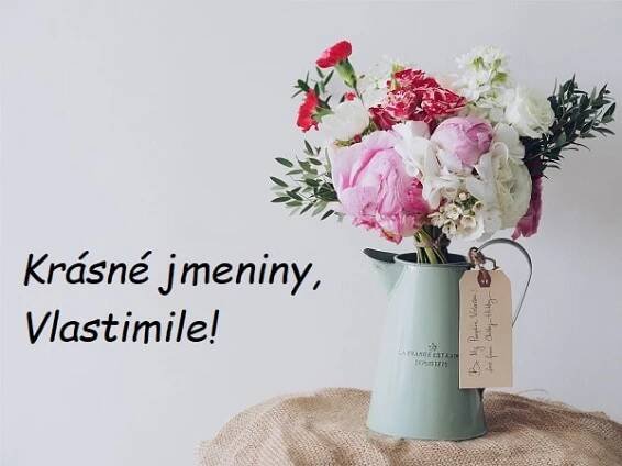 Nejkrásnější blahopřání k svátku pro Vlastu na jednom místě. Vyberte si!