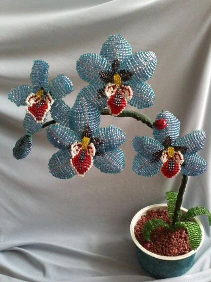 Korálkování orchidejí (89 fotografií): schémata sestavování krok za krokem a popis výroby nových orchidejí